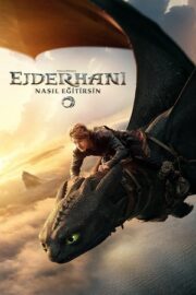 Ejderhanı Nasıl Eğitirsin
