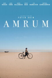 Amrum