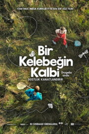 Bir Kelebeğin Kalbi